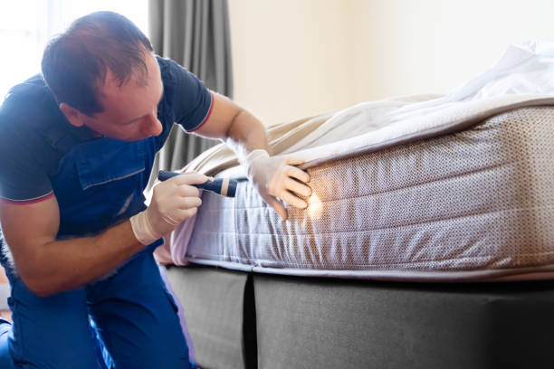 Best Fumigation Services  in Wd, AR